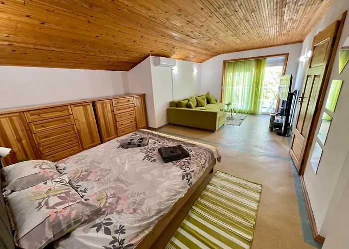 Vilă Maximiliyan Albena